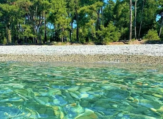 Pine beach Гостевой дом 2